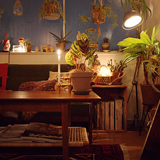 ディスプレイ/アンティーク/ミッドセンチュリー/植物のある暮らし/ジャンクスタイル...などのインテリア実例 - 2020-01-24 19:15:52