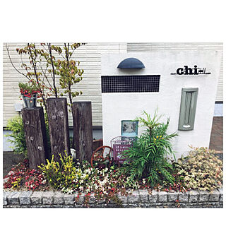 クランベリー 初雪カズラのインテリア実例 Roomclip ルームクリップ