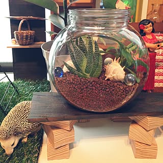 観葉植物 ジャングルみたいにしたい のインテリア実例 Roomclip ルームクリップ