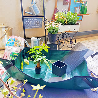 園芸シートのインテリア実例 Roomclip ルームクリップ