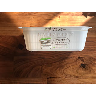 セリア Seria 豆苗のまとめページ Roomclip ルームクリップ