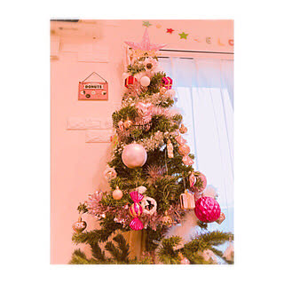オーナメント/クリスマスツリー/クリスマス雑貨/クリスマス準備/模索中 ༘*ೄ˚…...などのインテリア実例 - 2018-12-23 09:01:57