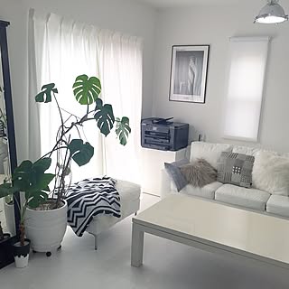 リビング/ポスター/アルテック/モンステラ/モノトーンハウス...などのインテリア実例 - 2016-10-08 10:15:26
