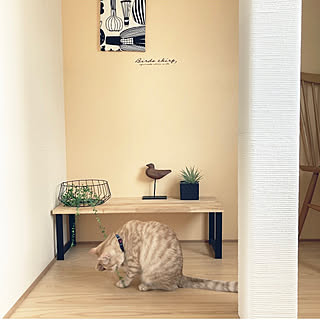 北欧ナチュラル イエローベージュの壁紙のインテリア実例 Roomclip ルームクリップ 北欧ナチュラル イエローベージュの壁紙のインテリア実例 Roomclip ルームクリップ
