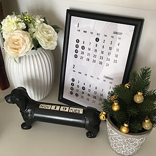 セリアのカレンダー/新商品買ったよ!/ミニチュアダックス/わんこと暮らす家/いいねありがとうございます♡...などのインテリア実例 - 2019-11-19 17:09:15