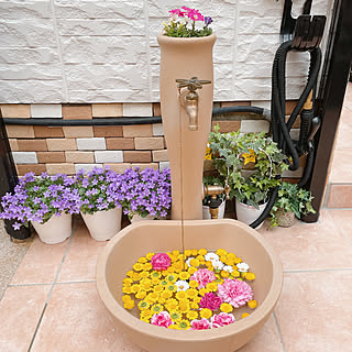 浮き花のインテリア実例 Roomclip ルームクリップ 浮き花のインテリア実例 Roomclip ルームクリップ