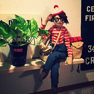 玄関/入り口/ウォーリー/RoomClip5周年/観葉植物のインテリア実例 - 2017-06-10 23:20:59