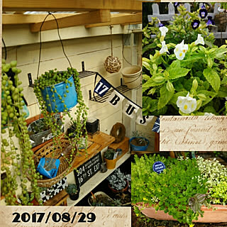玄関/入り口/RCの出会いに感謝♡/皆さまに感謝/そんなことより/いつもいいねやコメありがとうございます♡...などのインテリア実例 - 2017-08-29 07:33:29