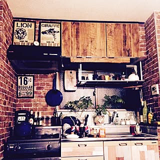 キッチン/彼女(猫)と彼(猫)と僕の日常/yupinokoさんのやつ/一人暮らしだからこれで十分のインテリア実例 - 2014-12-16 21:28:13