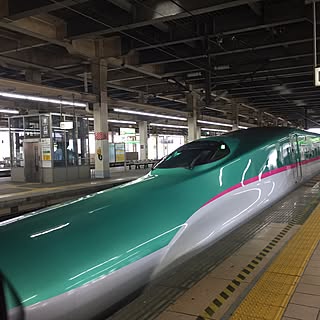 壁/天井/いつもいいね!ありがとうございます♪/皆さんのお陰で励みになってます♡/ヘイヘイホー部/花も緑も好き♡...などのインテリア実例 - 2017-05-29 12:19:27