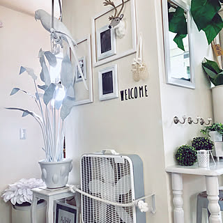 相変わらずごちゃごちゃしてます/たくさんのいいねに感謝です！ /おきにいり♡/雑貨大好き♡/ちいさなお家...などのインテリア実例 - 2019-06-14 15:36:45