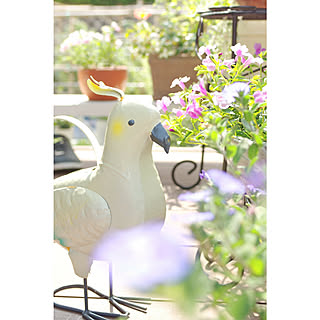 玄関/入り口/NO GREEN NO LIFE/ガーデニング初心者/ウッドデッキ/花のある暮らし...などのインテリア実例 - 2018-08-11 15:32:07