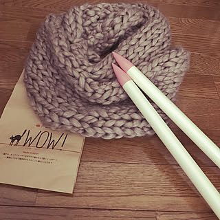 女性の、、家族住まいの「リビング」についてのインテリア実例