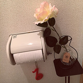 ワイヤー花瓶のインテリア実例 Roomclip ルームクリップ