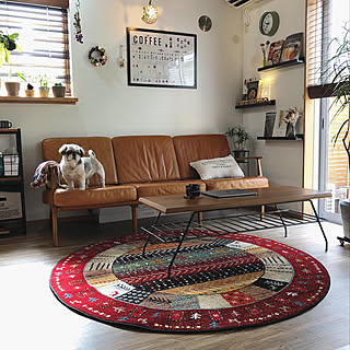 イケヒコ・モニター/ヒコラー/ウィルトン/カフェ風/建売住宅...などのインテリア実例 - 2019-09-23 09:49:30