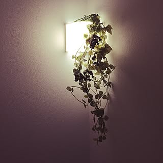 フェイクグリーン 階段照明のインテリア実例 Roomclip ルームクリップ