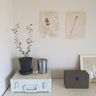 ジュラルミンケースのインテリア実例 Roomclip ルームクリップ