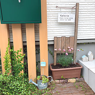 ガーデン雑貨/勢いありすぎる侵略者( ꒪ㅂ꒪ ;)/ミニ花壇/花のある暮らし/門柱...などのインテリア実例 - 2020-02-24 21:49:28