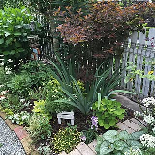 ガーデニング 隙間を植物で埋めたい病のおしゃれなインテリア 部屋 家具の実例 Roomclip ルームクリップ ガーデニング 隙間を植物で埋めたい病のおしゃれなインテリア 部屋 家具の実例 Roomclip ルームクリップ