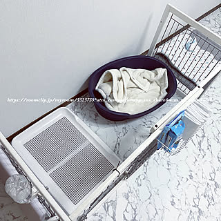 100均 犬のトイレのインテリア実例 Roomclip ルームクリップ