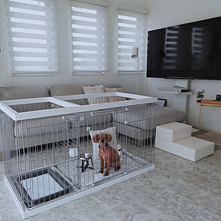 犬 多頭飼いのインテリア実例 Roomclip ルームクリップ