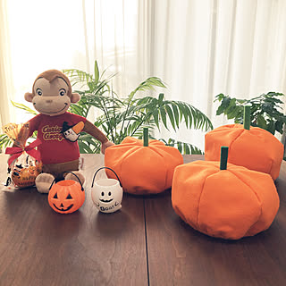 かぼちゃの帽子のインテリア実例 Roomclip ルームクリップ