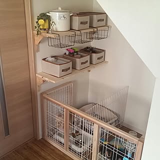 セリア 犬小屋のインテリア実例 Roomclip ルームクリップ