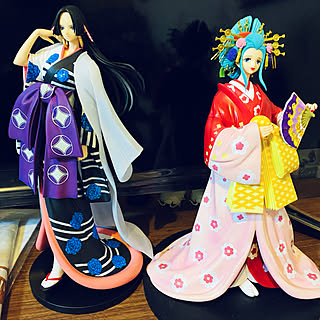 ワンピース 小紫のおしゃれなアレンジ 飾り方のインテリア実例 Roomclip ルームクリップ