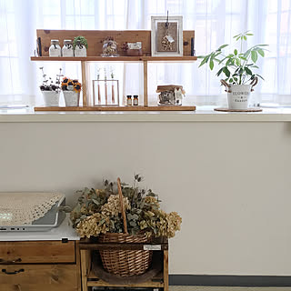 棚/観葉植物のある暮らし/かざり棚/棚DIY/DIY...などのインテリア実例 - 2018-09-29 09:05:34
