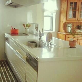 キッチン/システムキッチン/ル・クルーゼ/クリナップ/ルクルーゼのインテリア実例 - 2014-04-01 22:51:03