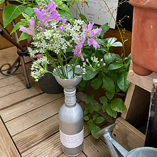 ニラの花のインテリア実例 Roomclip ルームクリップ