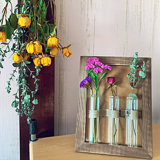 試験管花瓶のインテリア実例 Roomclip ルームクリップ