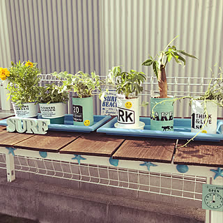 ハワイアン 寄せ植えのインテリア実例 Roomclip ルームクリップ ハワイアン 寄せ植えのインテリア実例 Roomclip ルームクリップ