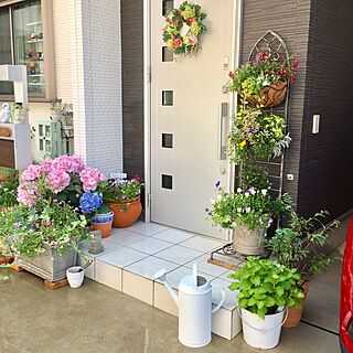 玄関先に花のインテリア実例 Roomclip ルームクリップ