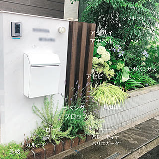 日陰の花壇のインテリア実例 Roomclip ルームクリップ