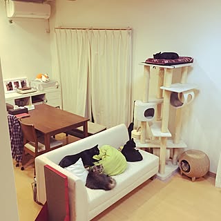 多頭飼い ねこが好きのインテリア実例 | RoomClip(ルームクリップ)