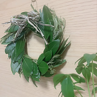 観葉植物 ローリエのおしゃれなアレンジ 飾り方のインテリア実例 Roomclip ルームクリップ