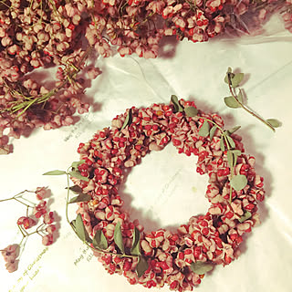 マユミの実のインテリア実例 Roomclip ルームクリップ