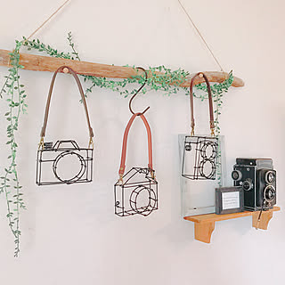 セリア 針金のインテリア実例 Roomclip ルームクリップ