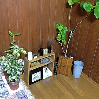仕事部屋/植物/雑貨/DIY/100勻のインテリア実例 - 2013-07-29 11:34:15