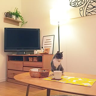 リビング/間接照明/diptyque/ひとり暮らし/一人暮らし...などのインテリア実例 - 2015-11-08 17:28:42