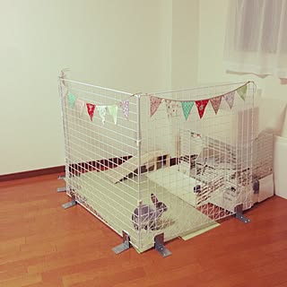 うさぎ小屋のインテリア実例 Roomclip ルームクリップ うさぎ小屋のインテリア実例 Roomclip ルームクリップ
