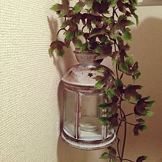 女性の、2LDK、家族住まいの「バス/トイレ」についてのインテリア実例