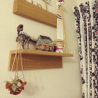 壁/天井/エアプランツ/エアープランツ/グリーン/吊るす...などのインテリア実例 - 2015-10-31 20:25:35