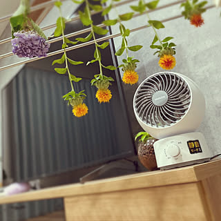 ドライフラワー 紅花のインテリア実例 Roomclip ルームクリップ ドライフラワー 紅花のインテリア実例 Roomclip ルームクリップ