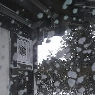 庭木 和風の家のおしゃれなインテリア 部屋 家具の実例 Roomclip ルームクリップ 庭木 和風の家のおしゃれなインテリア 部屋 家具の実例 Roomclip ルームクリップ