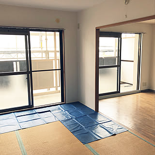 猫3匹のインテリア実例 Roomclip ルームクリップ