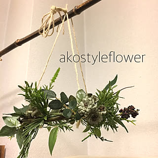 部屋全体/バラ/薔薇/ミニ薔薇/フライングリース...などのインテリア実例 - 2018-01-15 07:33:26