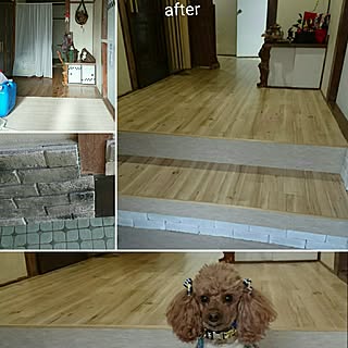 昭和のドアのリノベのインテリア実例 Roomclip ルームクリップ