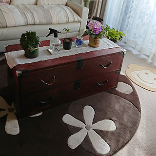 和ダンスのある部屋のインテリア実例 Roomclip ルームクリップ